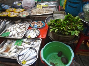 Phuket Town Market  - lots of fresh fish and live turtles