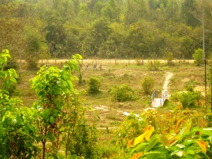 Fruit Friends Farm (Garden)