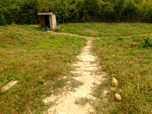 Trail to the shed in the garden. Hopefully this will soon be the toilet instead of the shed.