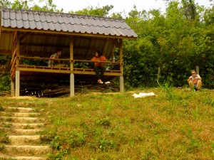 The recently built hut in the Fruit Friends Garden.
