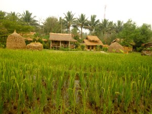 The Living Land Farm