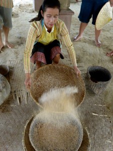 Separating the shelled rice. 