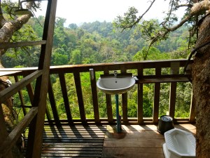 Our outdoor bathroom with rainforest shower. 