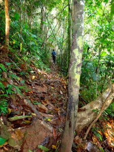 Julie hiking up our trail in the jungle. 