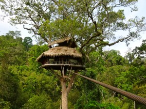 One of our jungle tree houses. 