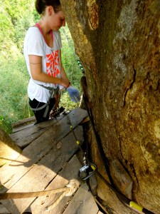 The safety line - Julie and I hooked into our nexus of zip lines. 