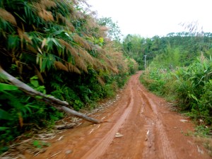 Our off-road mountain drive into the Bokeo Nature Reserve.