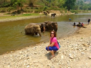 Hanging out with elephants at Elephant Nature Park.