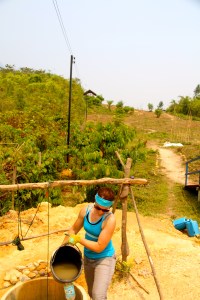 To the left is what the garden looked like when they purchased the land… to the right is what it looks like now. 