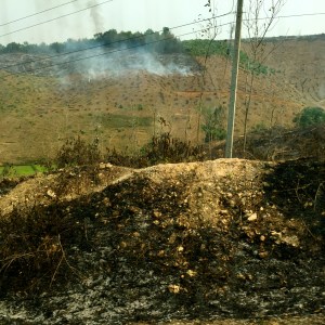 Slash and burn farming on the drive to Luang Prabang, Laos. 